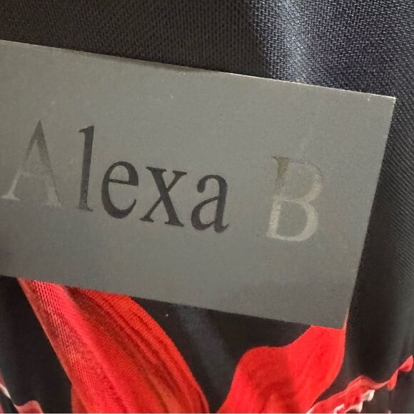 Alexa B black and red lily floral mesh maxi dress with rhinestones size 20W NWT - Picture 3 of 7